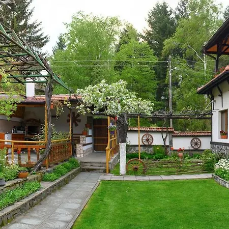 за гости лазов 3*